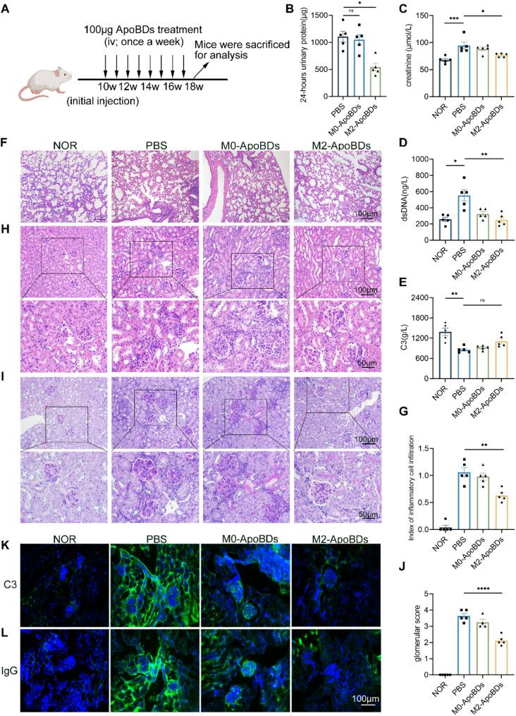 https://cdn.ncbi.nlm.nih.gov/pmc/blobs/a598/12083009/45862df92aef/12951_2025_3437_Fig9_HTML.jpg