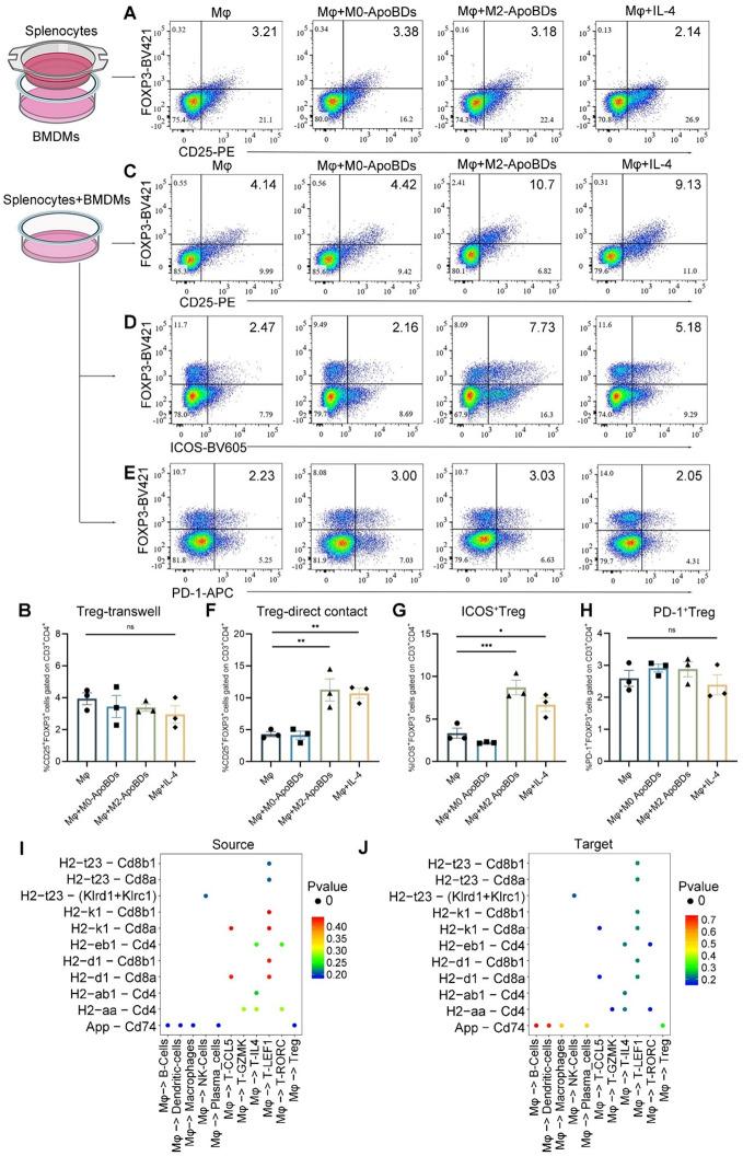 https://cdn.ncbi.nlm.nih.gov/pmc/blobs/a598/12083009/c557282c6790/12951_2025_3437_Fig7_HTML.jpg