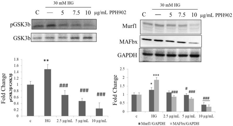 https://cdn.ncbi.nlm.nih.gov/pmc/blobs/a598/8588342/7bf2004794ad/molecules-26-06577-g008.jpg