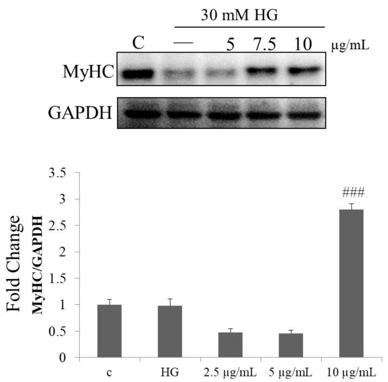 https://cdn.ncbi.nlm.nih.gov/pmc/blobs/a598/8588342/b859a07a2388/molecules-26-06577-g006.jpg