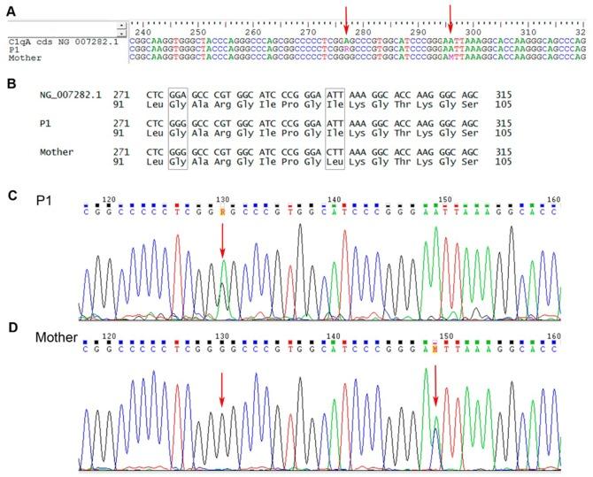 https://cdn.ncbi.nlm.nih.gov/pmc/blobs/a599/4449463/d1b71d016520/cln-70-03-220-g001.jpg