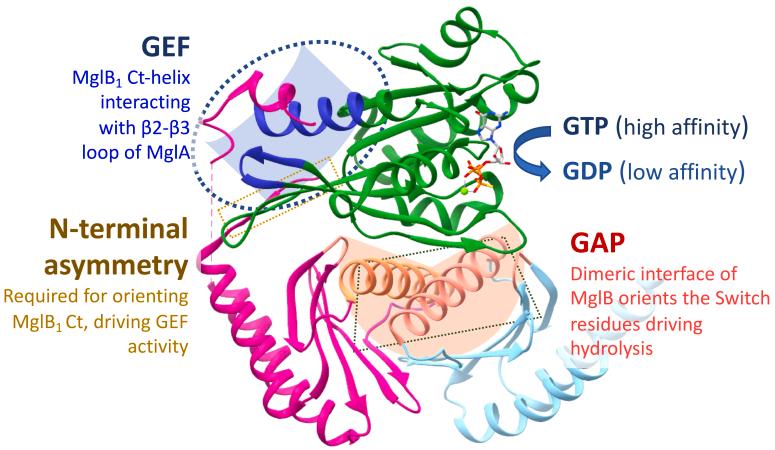 https://cdn.ncbi.nlm.nih.gov/pmc/blobs/a59b/11016934/3913871a600f/gr7.jpg