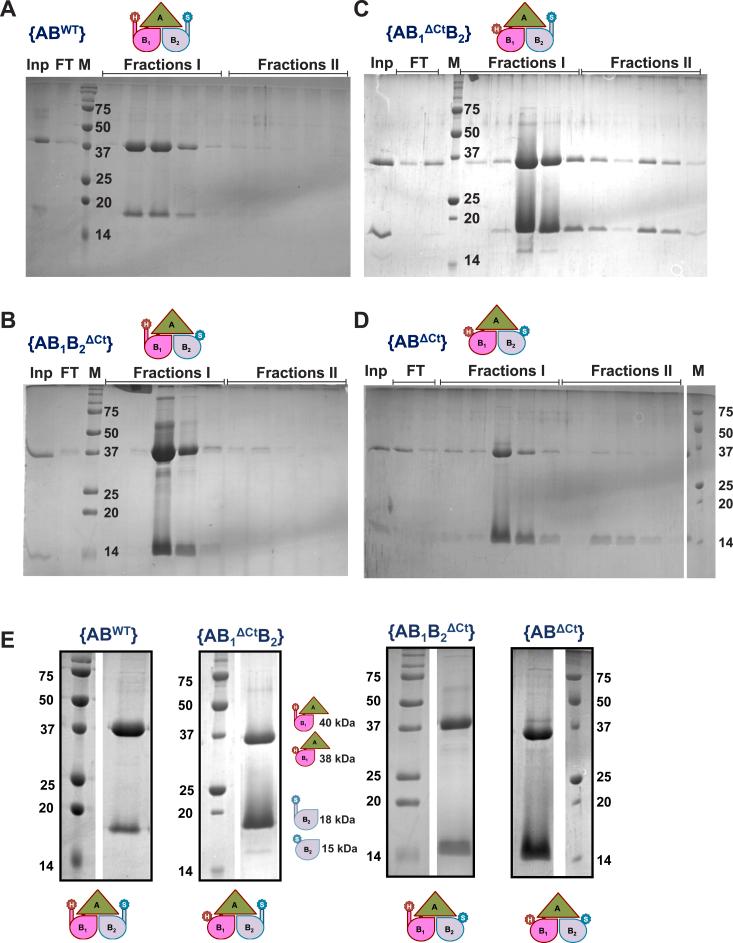 https://cdn.ncbi.nlm.nih.gov/pmc/blobs/a59b/11016934/506b9400d3c8/gr3.jpg