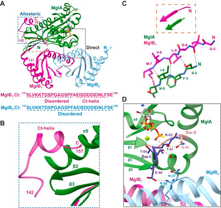 https://cdn.ncbi.nlm.nih.gov/pmc/blobs/a59b/11016934/755b2090dac0/gr1.jpg