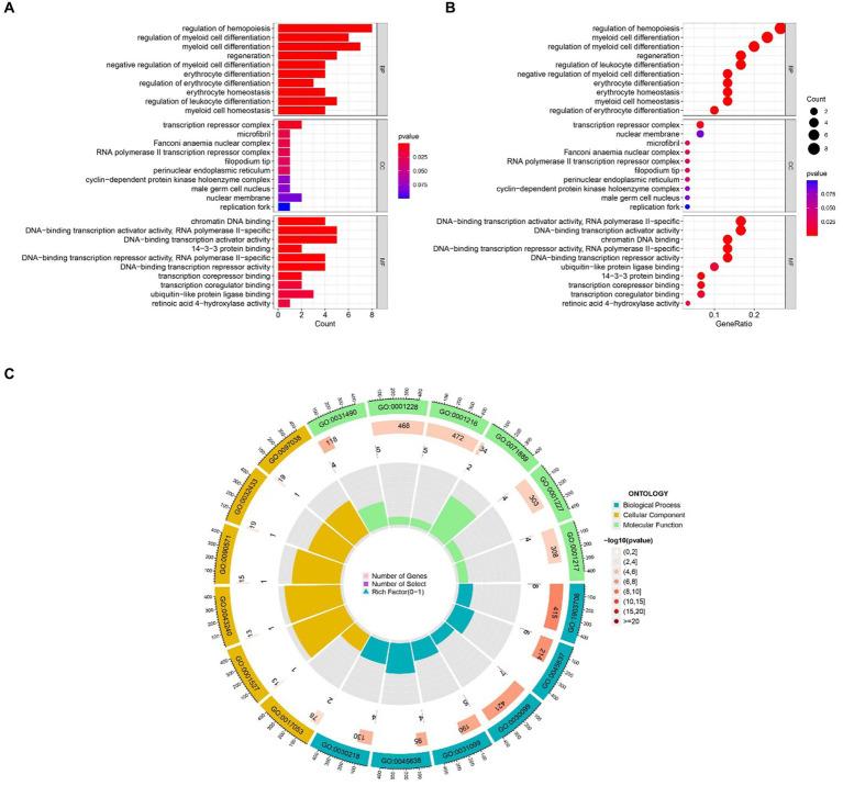 https://cdn.ncbi.nlm.nih.gov/pmc/blobs/a59b/11221828/08857a0bfb85/fmed-11-1380210-g004.jpg