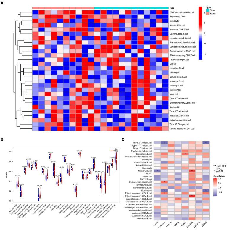 https://cdn.ncbi.nlm.nih.gov/pmc/blobs/a59b/11221828/2a2b661d0239/fmed-11-1380210-g014.jpg