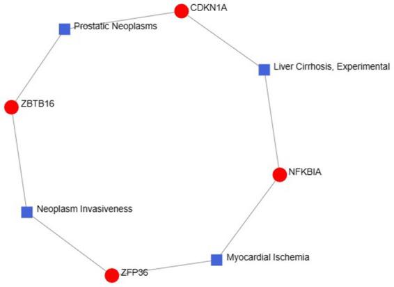 https://cdn.ncbi.nlm.nih.gov/pmc/blobs/a59b/11221828/9da754168aa6/fmed-11-1380210-g011.jpg