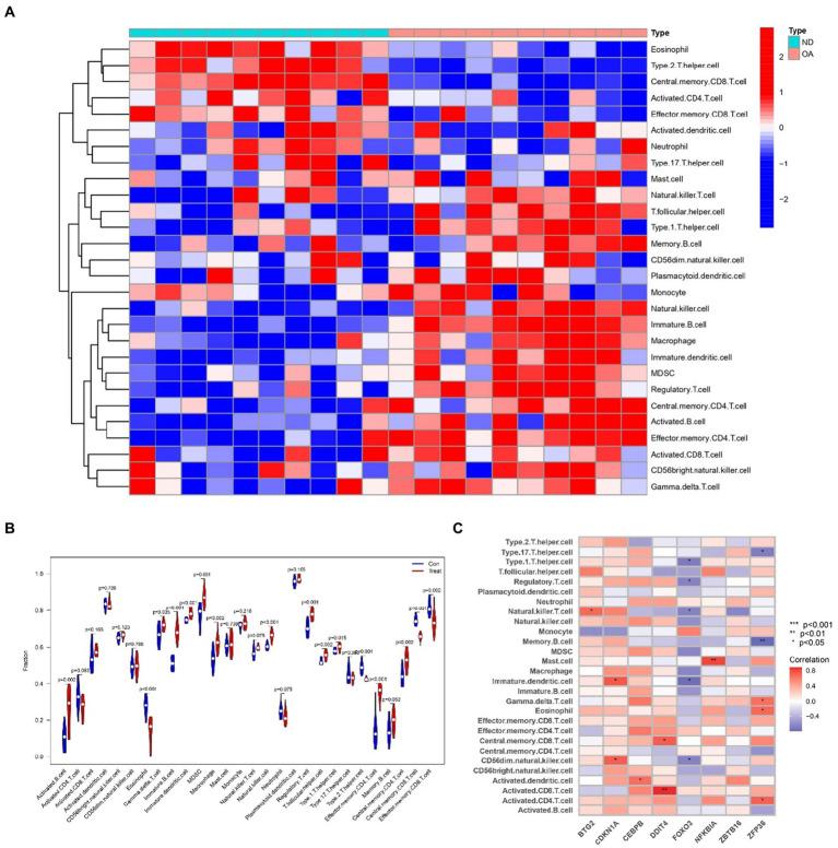 https://cdn.ncbi.nlm.nih.gov/pmc/blobs/a59b/11221828/c796b64cf476/fmed-11-1380210-g015.jpg