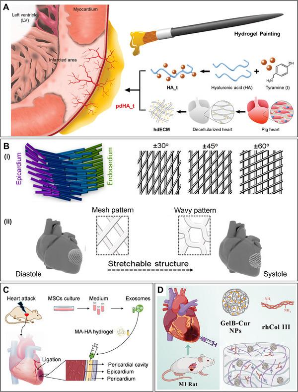 https://cdn.ncbi.nlm.nih.gov/pmc/blobs/a59f/12243731/8cea28174258/ADMA-37-2420114-g012.jpg
