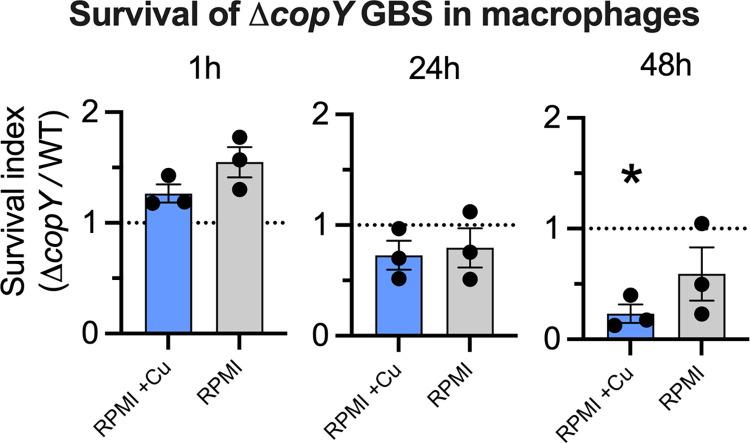 https://cdn.ncbi.nlm.nih.gov/pmc/blobs/a59f/9345489/681a78785fde/ppat.1010607.g003.jpg