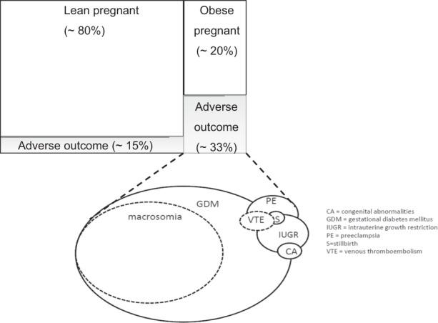 https://cdn.ncbi.nlm.nih.gov/pmc/blobs/a5a0/8636251/3a5c033f9f01/41430_2021_948_Fig2_HTML.jpg