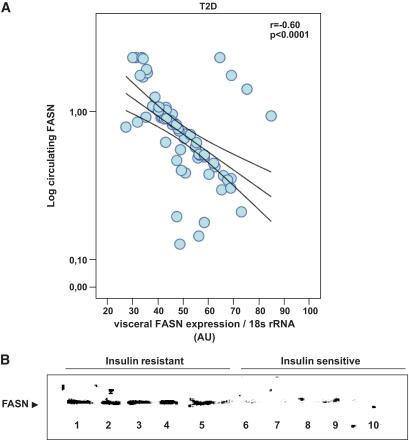 https://cdn.ncbi.nlm.nih.gov/pmc/blobs/a5a2/2874712/dc64b26be1c3/zdb0061061500003.jpg