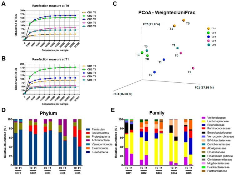 https://cdn.ncbi.nlm.nih.gov/pmc/blobs/a5ac/6627314/38bec9cd54df/cells-08-00577-g007.jpg