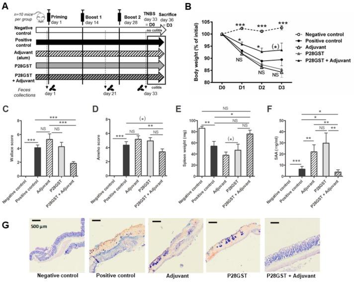 https://cdn.ncbi.nlm.nih.gov/pmc/blobs/a5ac/6627314/897857584fa6/cells-08-00577-g001.jpg