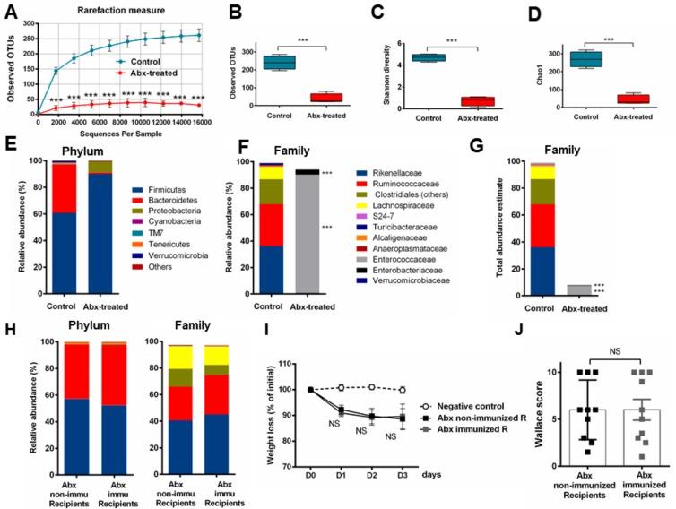 https://cdn.ncbi.nlm.nih.gov/pmc/blobs/a5ac/6627314/94b0a3f5bdce/cells-08-00577-g006.jpg
