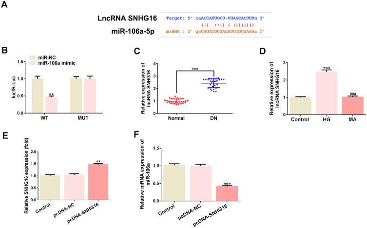 https://cdn.ncbi.nlm.nih.gov/pmc/blobs/a5af/7549883/44bca7fed411/DMSO-13-3551-g0005.jpg