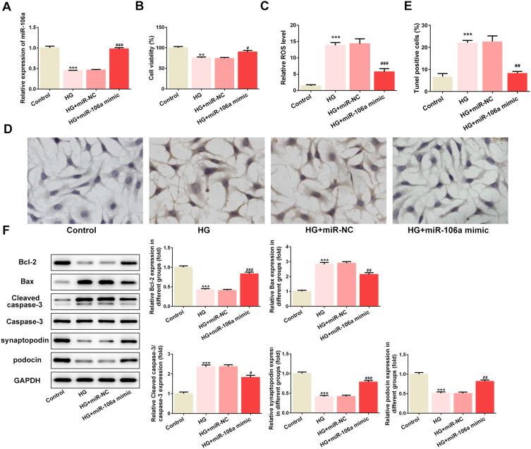 https://cdn.ncbi.nlm.nih.gov/pmc/blobs/a5af/7549883/ae514c4f979f/DMSO-13-3551-g0002.jpg
