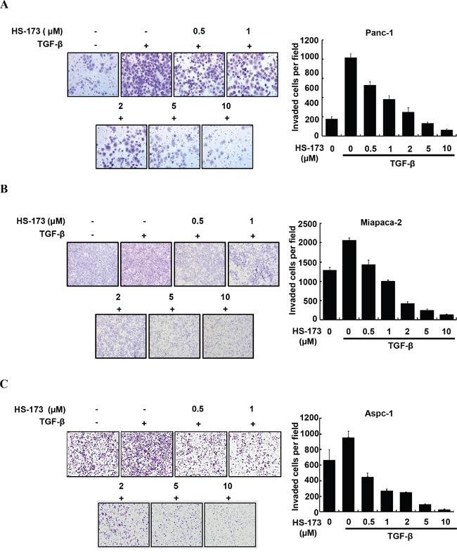 https://cdn.ncbi.nlm.nih.gov/pmc/blobs/a5b0/5363641/01ced131b76e/oncotarget-07-78029-g003.jpg
