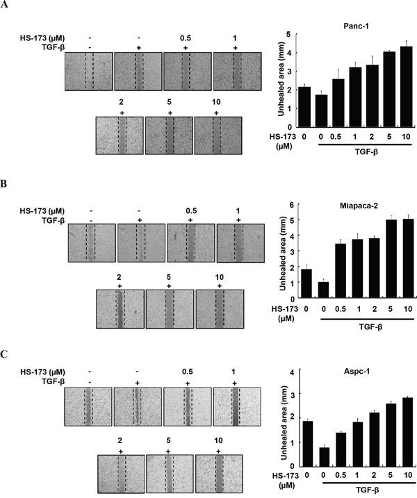 https://cdn.ncbi.nlm.nih.gov/pmc/blobs/a5b0/5363641/0a601d61ce27/oncotarget-07-78029-g002.jpg