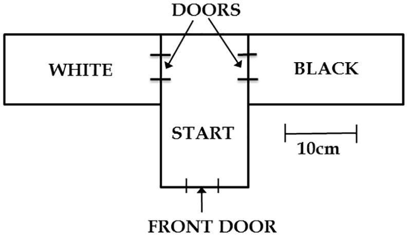 https://cdn.ncbi.nlm.nih.gov/pmc/blobs/a5b0/7232052/f9e045c19dc3/10.1177_1756286420921083-fig1.jpg