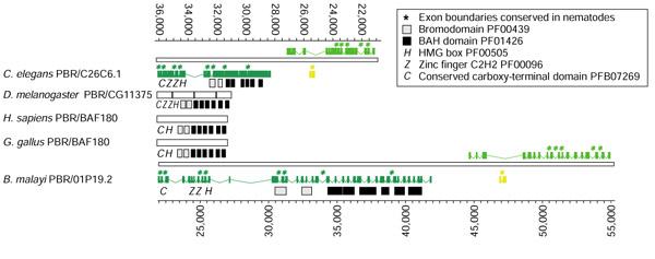 https://cdn.ncbi.nlm.nih.gov/pmc/blobs/a5b3/134624/418e009b6fec/gb-2002-3-10-research0057-3.jpg