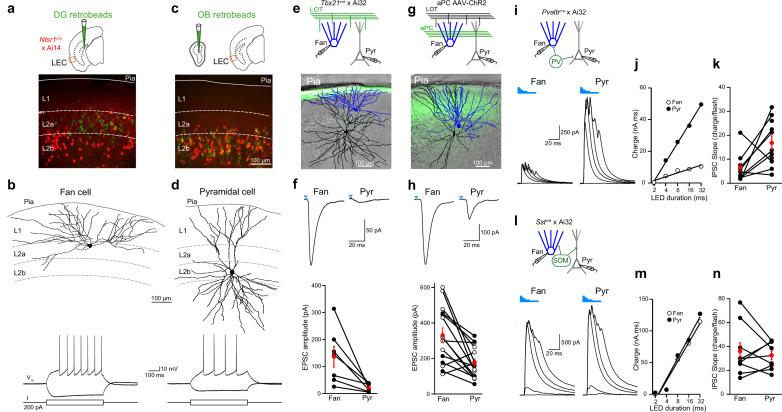 https://cdn.ncbi.nlm.nih.gov/pmc/blobs/a5bc/8860446/26bc51ddbd0d/elife-75065-fig5.jpg
