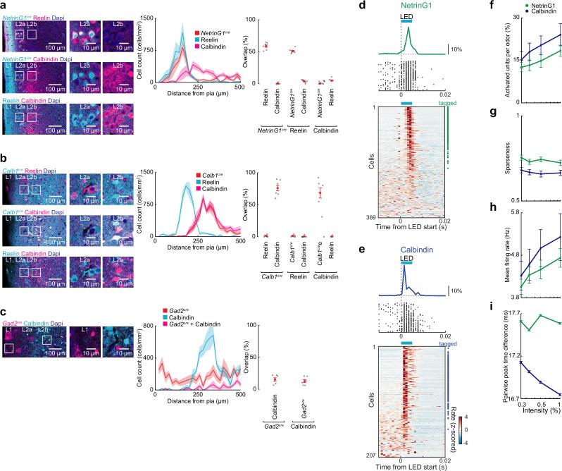 https://cdn.ncbi.nlm.nih.gov/pmc/blobs/a5bc/8860446/2d309b363751/elife-75065-fig6-figsupp1.jpg