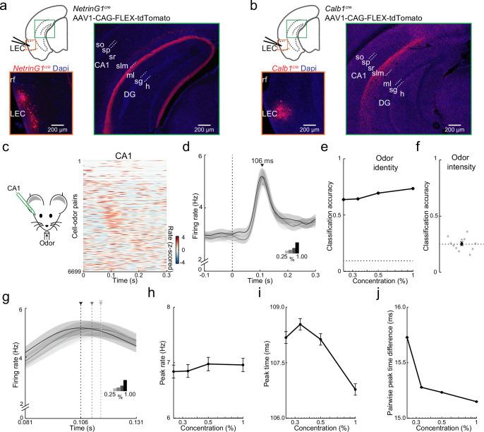 https://cdn.ncbi.nlm.nih.gov/pmc/blobs/a5bc/8860446/7f2193cc1d42/elife-75065-fig7.jpg