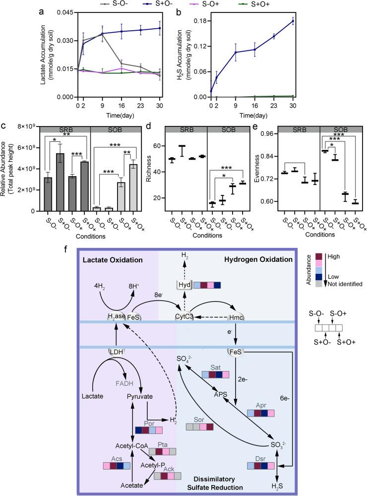 https://cdn.ncbi.nlm.nih.gov/pmc/blobs/a5be/11222425/814b89976b3a/41522_2024_525_Fig5_HTML.jpg