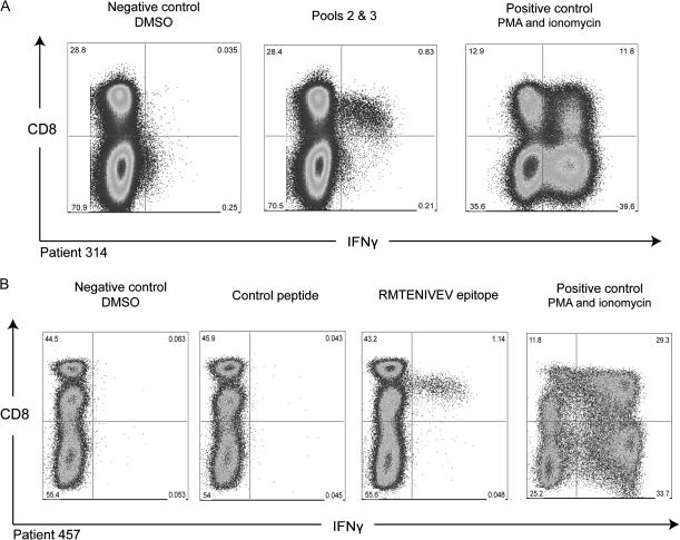 https://cdn.ncbi.nlm.nih.gov/pmc/blobs/a5c2/3080894/d5a5534dbe45/infdisjir036f04_ht.jpg