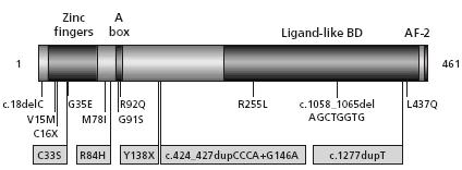 https://cdn.ncbi.nlm.nih.gov/pmc/blobs/a5c6/2673348/995a8854e14b/humu0029-0059-f1.jpg