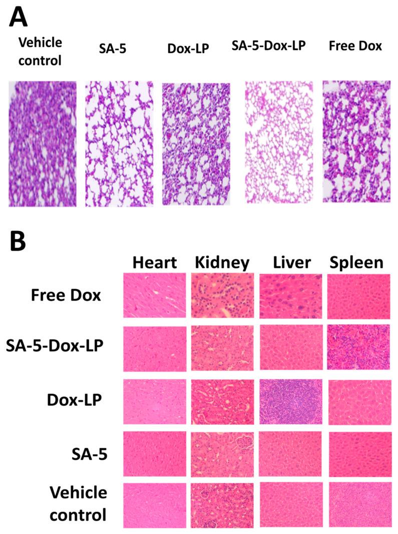 https://cdn.ncbi.nlm.nih.gov/pmc/blobs/a5c6/8002094/24f51a39684c/pharmaceuticals-14-00221-g007.jpg