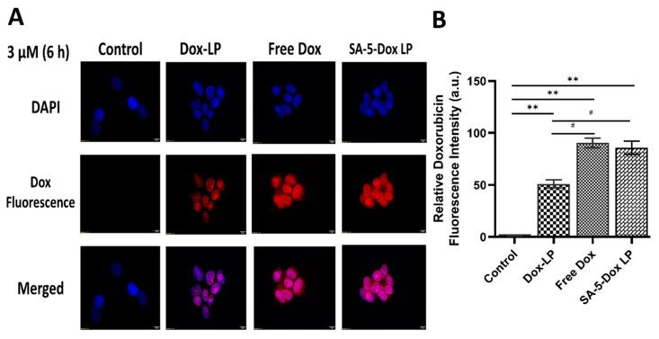 https://cdn.ncbi.nlm.nih.gov/pmc/blobs/a5c6/8002094/3e8dc3b1bba4/pharmaceuticals-14-00221-g005.jpg