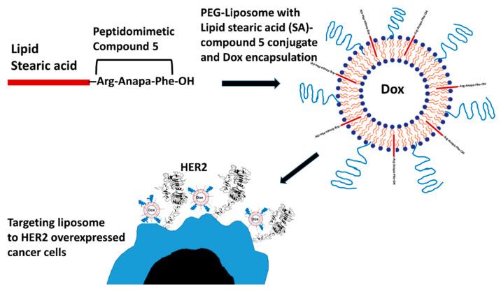 https://cdn.ncbi.nlm.nih.gov/pmc/blobs/a5c6/8002094/b82b67f2de01/pharmaceuticals-14-00221-g001.jpg