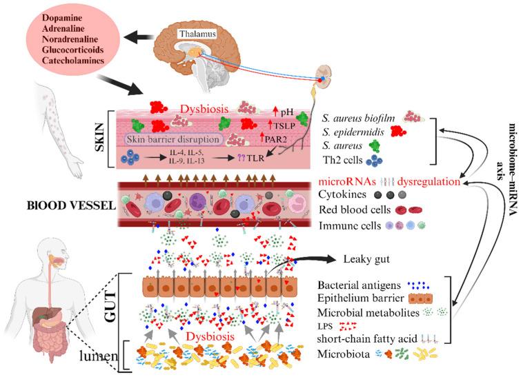 https://cdn.ncbi.nlm.nih.gov/pmc/blobs/a5c7/10532357/2ffb992a43ea/ijms-24-14322-g003.jpg