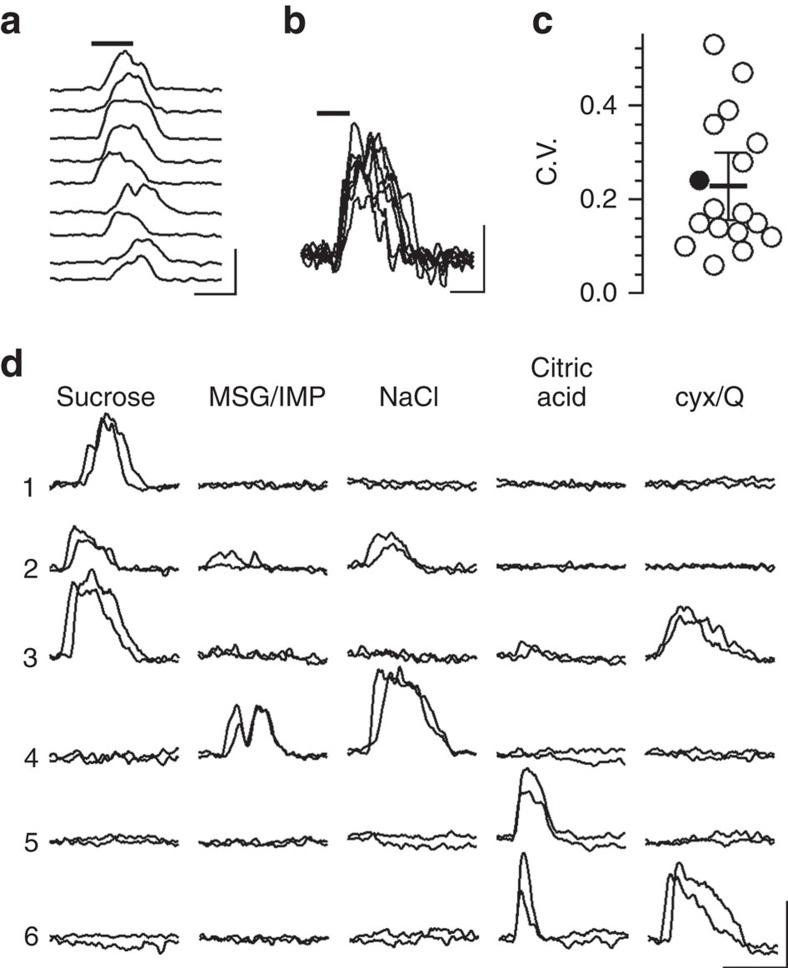 https://cdn.ncbi.nlm.nih.gov/pmc/blobs/a5c7/4595602/e01fc40e4e26/ncomms9171-f2.jpg