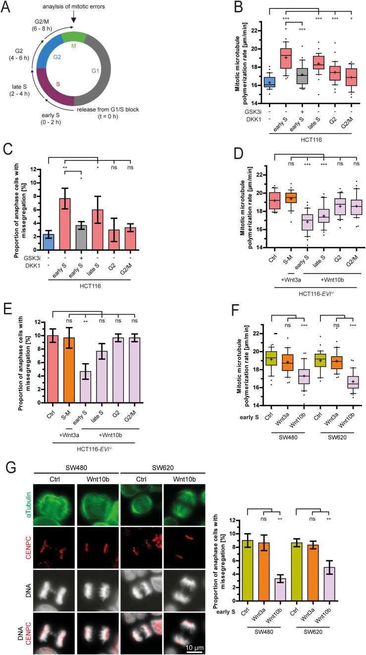 https://cdn.ncbi.nlm.nih.gov/pmc/blobs/a5ca/12373720/11452bc20a35/LSA-2025-03295_Fig2.jpg