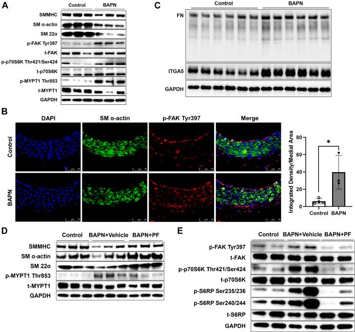 https://cdn.ncbi.nlm.nih.gov/pmc/blobs/a5cd/12375202/869cf5842de5/gr4.jpg