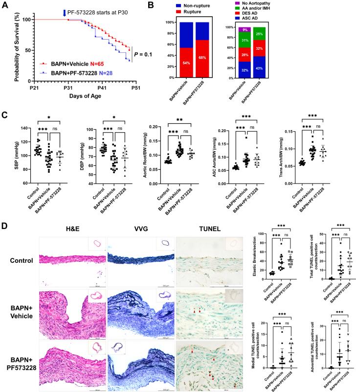 https://cdn.ncbi.nlm.nih.gov/pmc/blobs/a5cd/12375202/d48c69de31dc/gr5.jpg