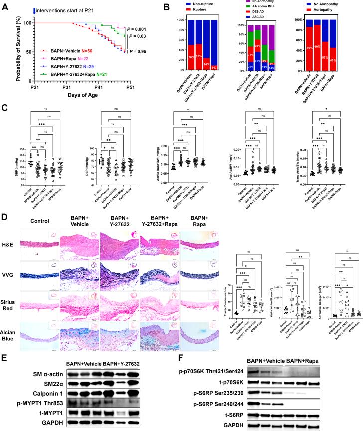 https://cdn.ncbi.nlm.nih.gov/pmc/blobs/a5cd/12375202/dac748bb16a1/gr6.jpg
