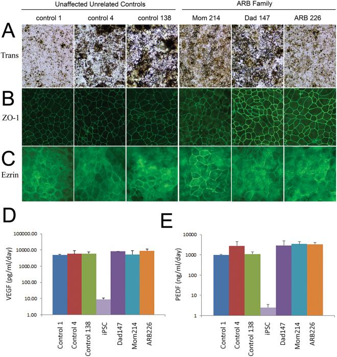 https://cdn.ncbi.nlm.nih.gov/pmc/blobs/a5cd/5852082/0a3ea0997791/41598_2018_21651_Fig2_HTML.jpg