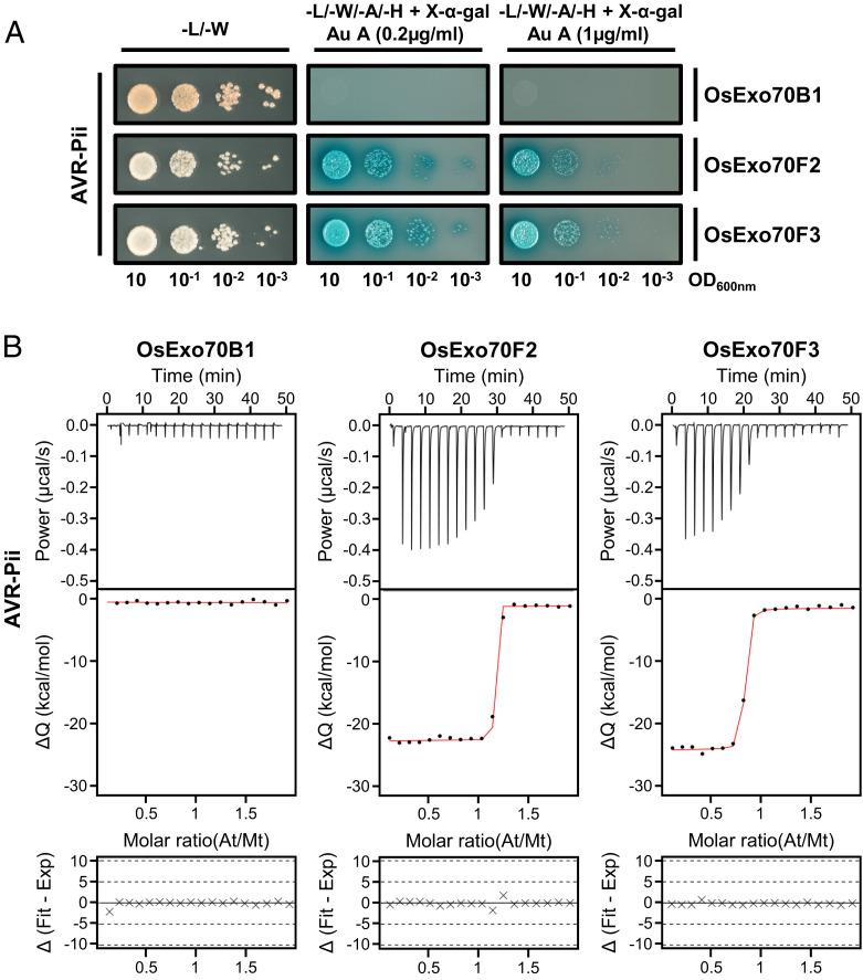 https://cdn.ncbi.nlm.nih.gov/pmc/blobs/a5ce/9618136/4c17ec020d83/pnas.2210559119fig01.jpg