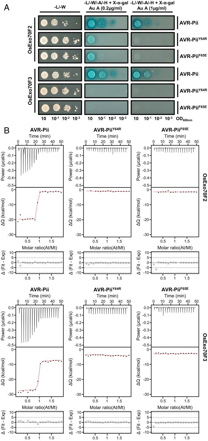 https://cdn.ncbi.nlm.nih.gov/pmc/blobs/a5ce/9618136/753e9253a4dd/pnas.2210559119fig03.jpg