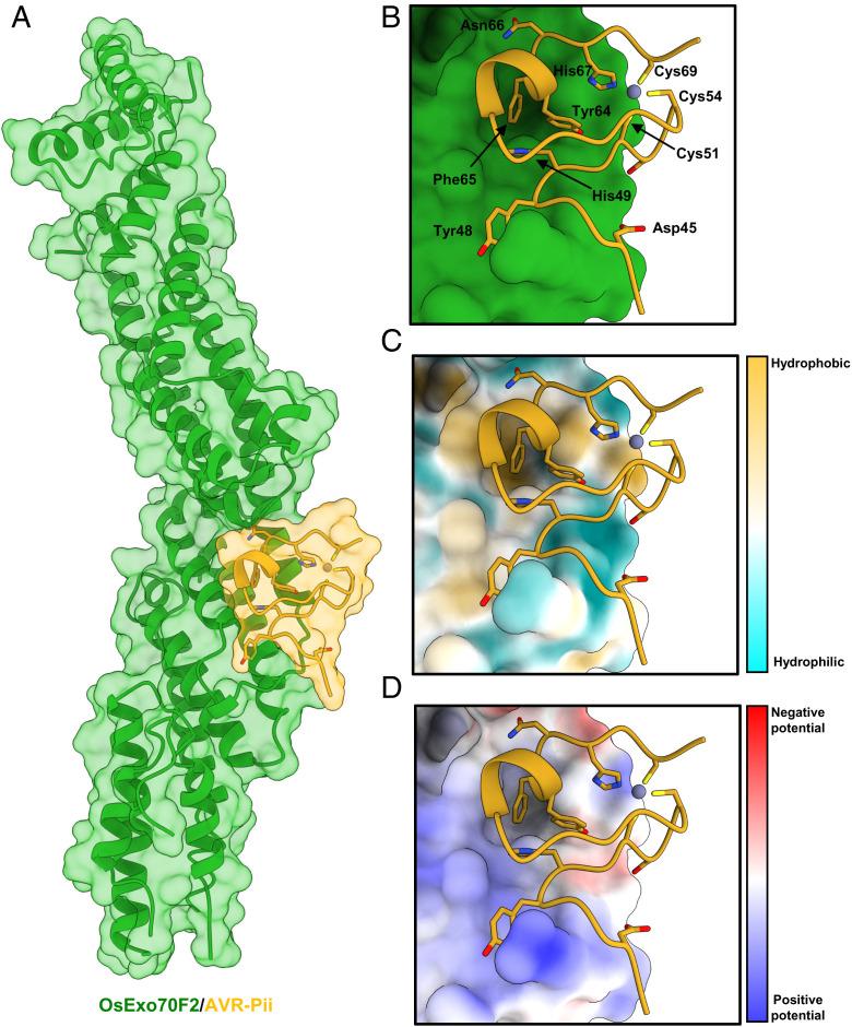 https://cdn.ncbi.nlm.nih.gov/pmc/blobs/a5ce/9618136/7699869585cc/pnas.2210559119fig02.jpg