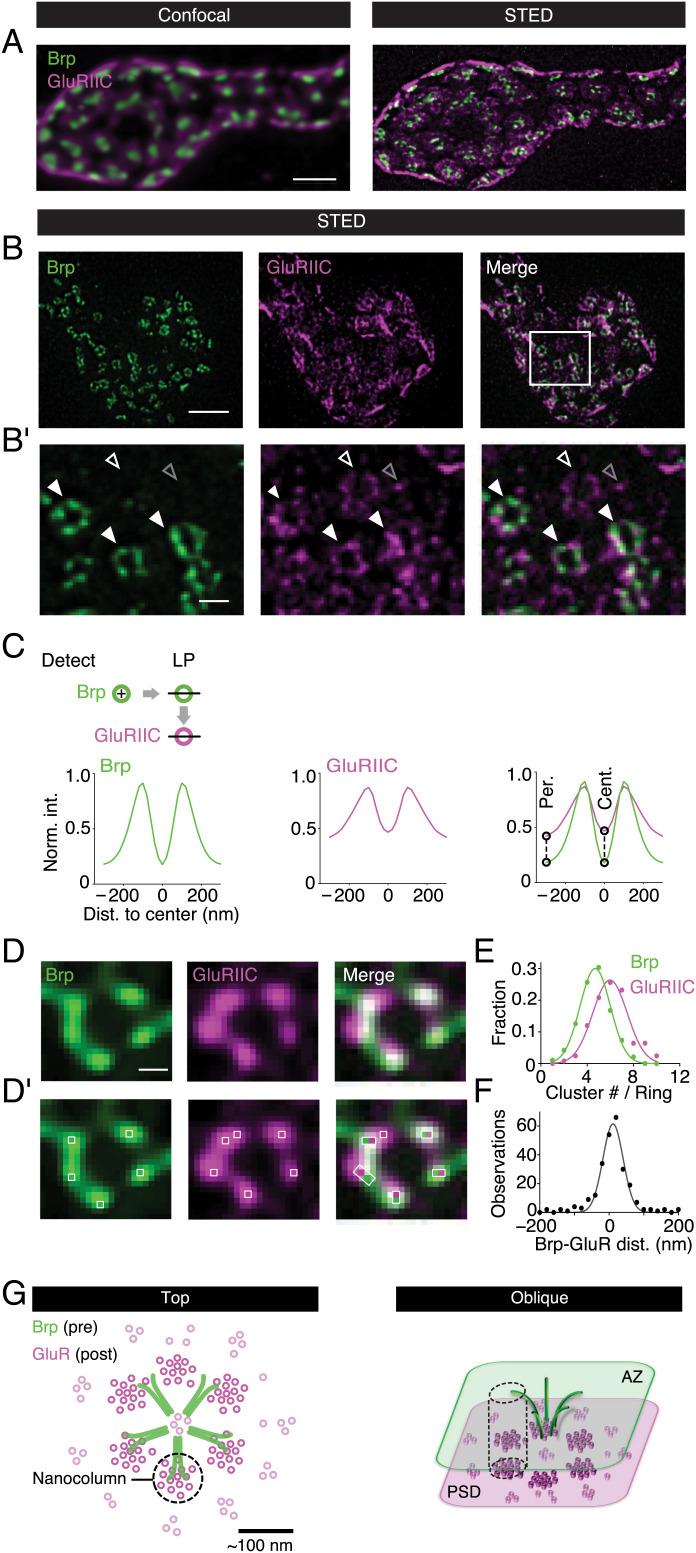 https://cdn.ncbi.nlm.nih.gov/pmc/blobs/a5d0/9659372/57b0dc340fe8/pnas.2119044119fig01.jpg