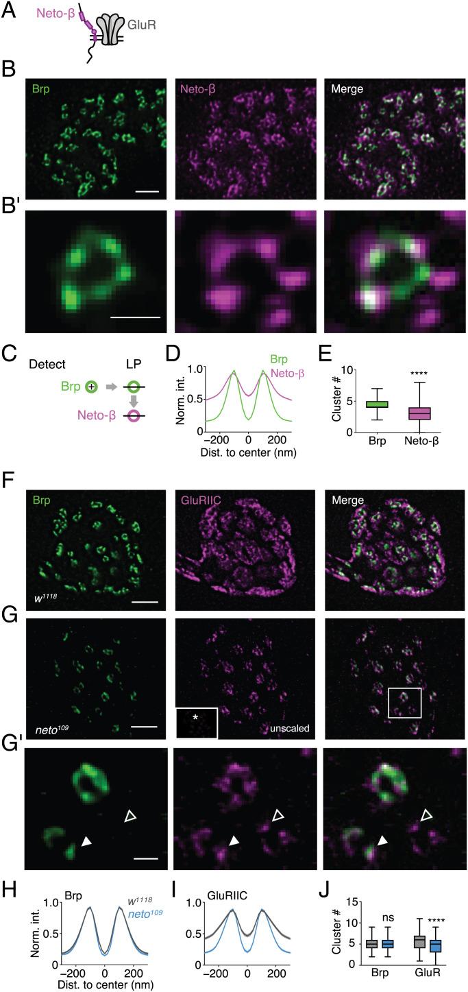 https://cdn.ncbi.nlm.nih.gov/pmc/blobs/a5d0/9659372/7a644e631533/pnas.2119044119fig03.jpg