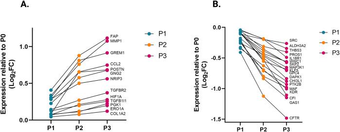 https://cdn.ncbi.nlm.nih.gov/pmc/blobs/a5d2/11653212/011217823f00/fcell-12-1496884-g003.jpg