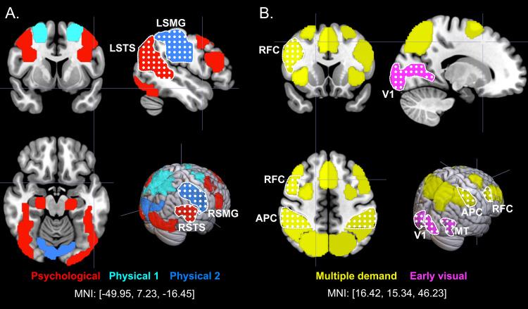 https://cdn.ncbi.nlm.nih.gov/pmc/blobs/a5d5/12239824/daaf156701d0/imag_a_00068_fig2.jpg