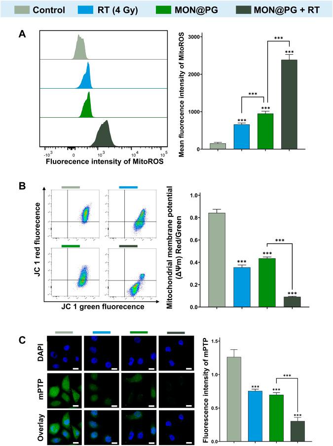 https://cdn.ncbi.nlm.nih.gov/pmc/blobs/a5d6/10151506/04d1dbeb43d2/fbioe-11-1171450-g004.jpg