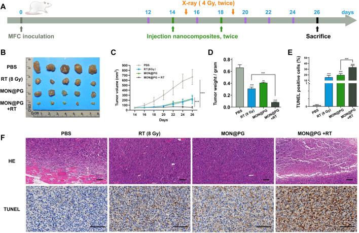 https://cdn.ncbi.nlm.nih.gov/pmc/blobs/a5d6/10151506/4d370af6694e/fbioe-11-1171450-g005.jpg